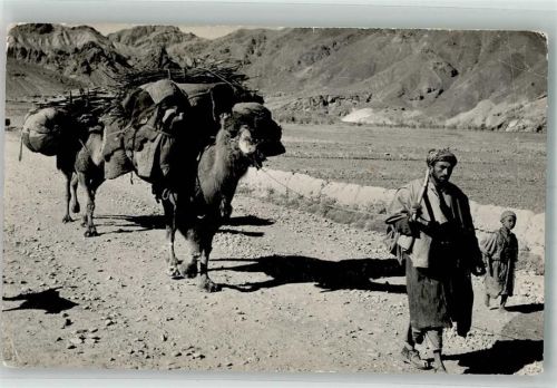 Karatschi 1960 Tracht Kamel