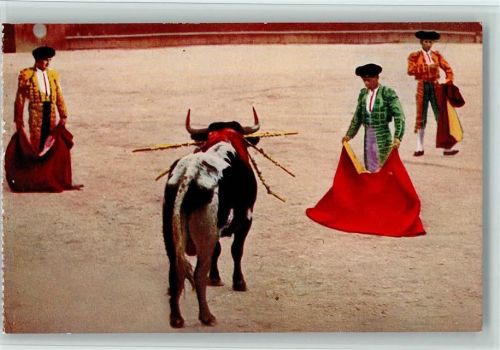 Nimes Stierkampfarena Torero im Kampf
