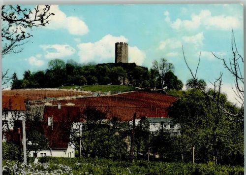 Sinsheim Ortsansicht Turm Steinsberg