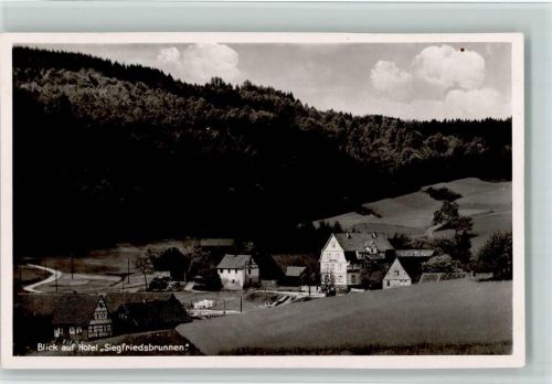 Grasellenbach Blick auf Hotel Siegfriedsbrunnen