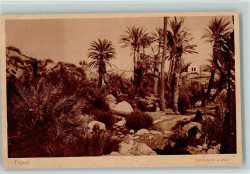 Tripolis Campagna Araba