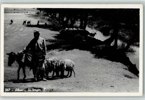 Un berger