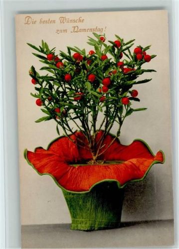 1915 Nr. 688 Namenstag Blumen