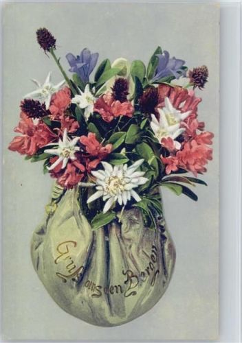 Leontopodium Alpinum Edelweiss Rhododendron ferrugineum Alpenrose Gentiana Enzian