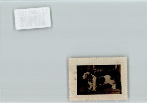 Vignette - Spaniel Spaniel