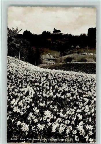Les Avants Les Narcisses près de Sonloup