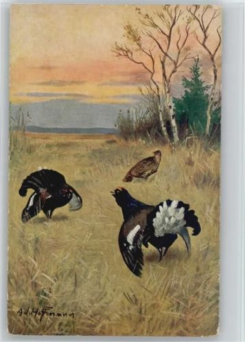 Nr. 7026 - Jagdtiere - Hoffmann, Ad. Künstlerkarte