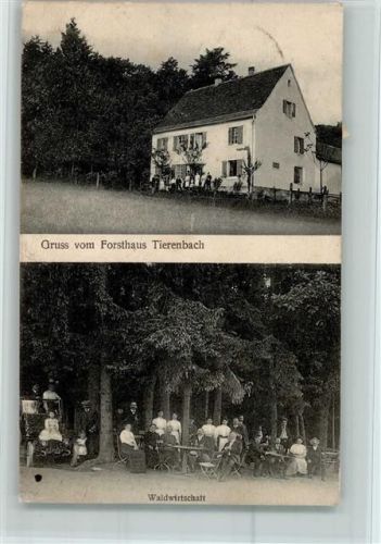 Jungholtz Forsthaus Tierenbach , Waldwirtschaft, gute Erhaltung AK