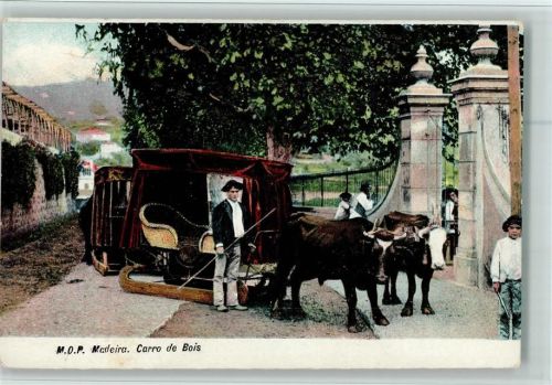 Carro de Bois - Ochsengespann mit Korbschlitten , gute Erhaltung AK