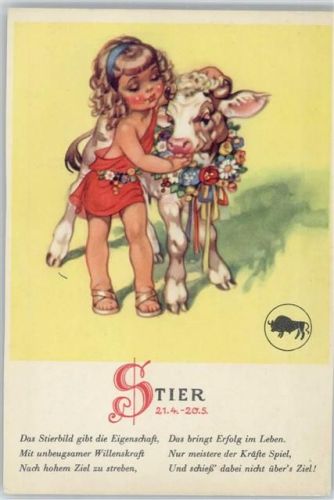 Stier - ca 1956 AK