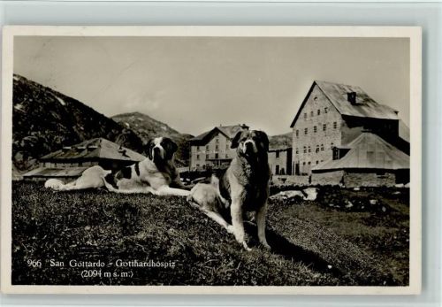 San Gottardo 1923 Hospiz, Verlag Borelli Nr. 966, gute Erhaltung AK