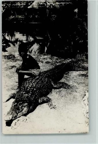 kleiner Junge in Afrika sitzt auf einem Krokodil, ca 1915 AK