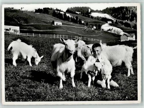 Alpstein Gute Freunde Im Alpstein Auf dem Weg zum Ruhsitz Hohen Kasten