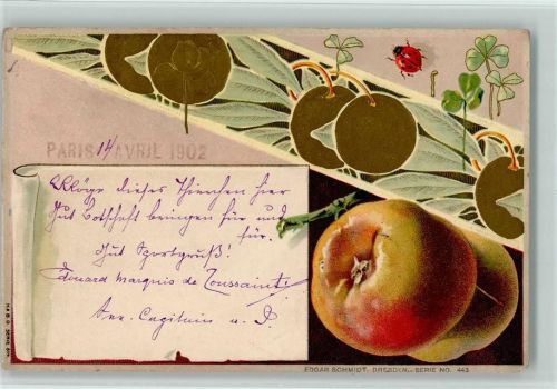 1902 Jugendstil - Früchte Äpfel, Marienkäfer, Serie 443 AK