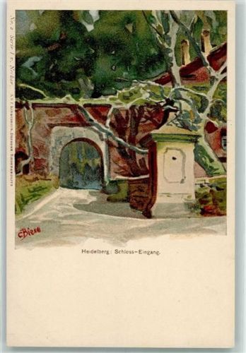 W6900 Heidelberg , Neckar Schloß-Eingang Biese, K. 1899 Lithographie / Künstlerkarte