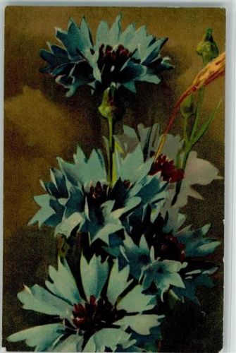 Nr. 512 - Kornblumen AK