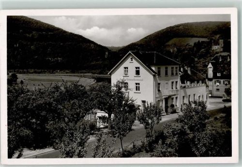 Neckarsteinach Hotel Schwalbennest mit Vierburgenblick