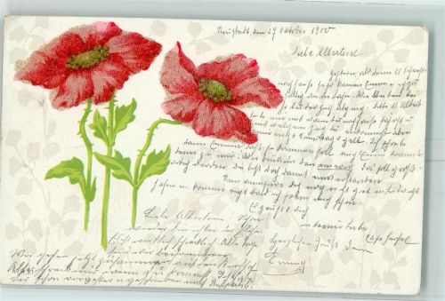 1900 Mohnblumen Lithographie AK
