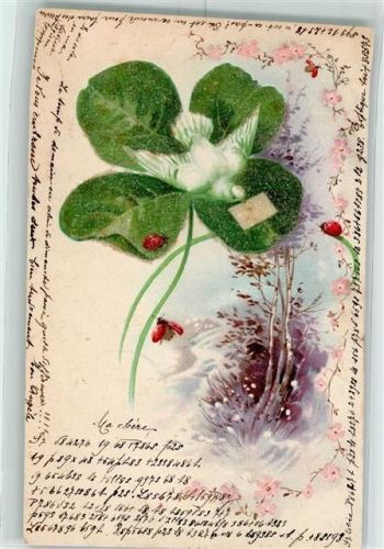 1902 Glückskleeblatt Lithographie AK
