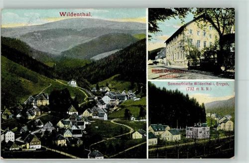 Wildenthal Hotel Drechster
