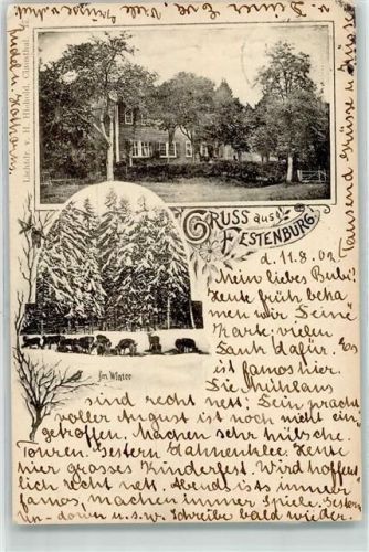 Festenburg 1902 Gruss Winter Wild Schnee