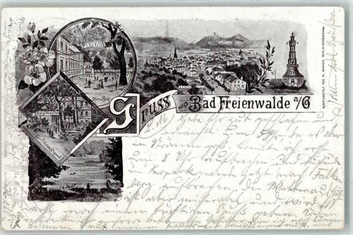 Bad Freienwalde 1897 Kriegerdenkmal Gasthaus Zur grünen Tanne Kurpark Baa-See