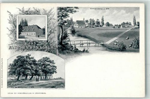 Hermannsburg 1849 altes Pfarrhaus altes Missionshaus Kühe Reh