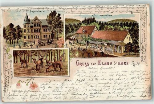 Elend 1899 Wildfütterung Hotel Waldmühle Dependance