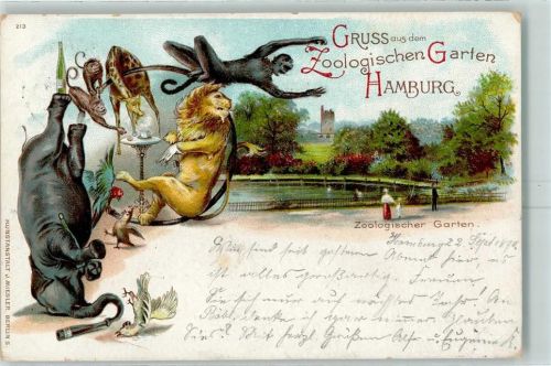 Hamburg 1898 Gruss aus Zoologischer Garten Affen Elefant Löwe AK