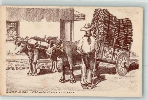 Vendedor de Lena Fire Wood Vender