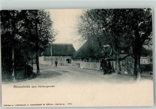 22926 W2070 Ahrensfelde b Ahrensburg - beim Hamburgerwald