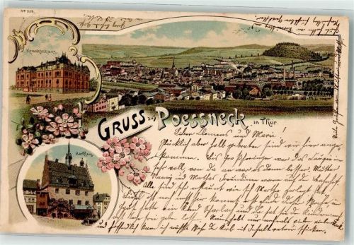 07381 O6840 Pößneck 1899 Lithographie Krankenhaus Rathaus