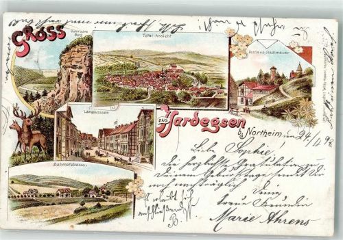 Hardegsen 1898 Hühn'sche Burg Stadtmauer Langestraße Hirsch Hirschkuh