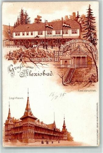Alexisbad 1895 Hotel zur goldenen Rose Alexisbrunnen Logirhaus Kutsche Fahne Schwarz-Weiß-Rot