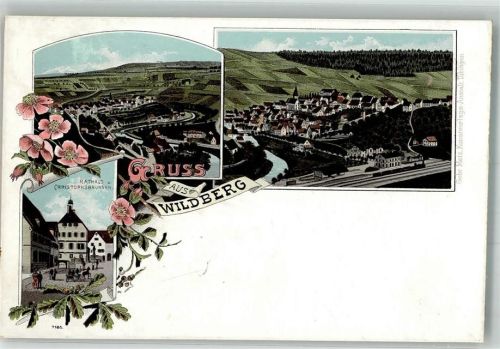 Wildberg Lithographie Bahnof Rathaus Christophsbrunnen