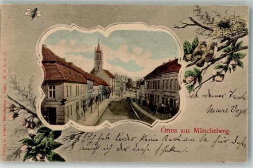 15374 O1278 Müncheberg Passepartout Vogelnest Singvögel Stadtpfarrkirche St. Marien
