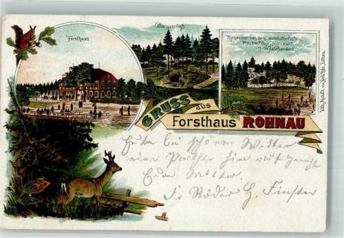 Rohnau 1899 Forsthaus Rohnau Rehbock Eichhörnchen Burgverließ