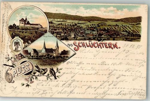 36381 W6490 Schlüchtern 1898 Lithographie Stadtwappen Kgl. Seminar Schloß Brandenstein Singvögel