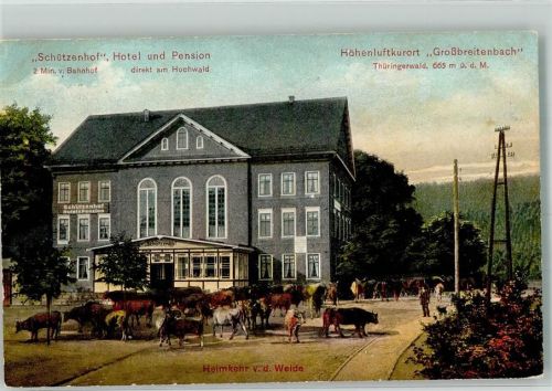 Großbreitenbach 1917 Hotel Schützenhof Rindertrieb von der Weide kommend