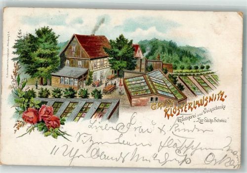 Bad Klosterlausnitz 1901 Gärtnerei-Weinschenke zur Sächsischen Schweiz Rosen