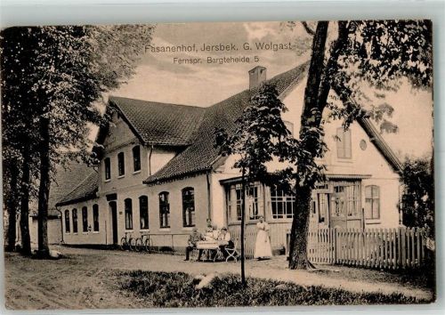 22941 W2072 Jersbek 1913 Foto AK Gasthaus Fasanenhof Fahrräder Hühner