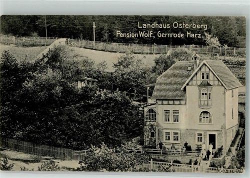 06507 O4305 Gernrode , Harz - Landhaus Osterberg Pension Wolf