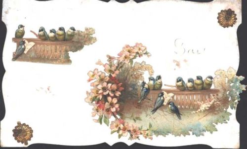 AK von 1908 mit zwei aufgeklebten Oblaten Meisen mit Blumen, Ränder geschwungen