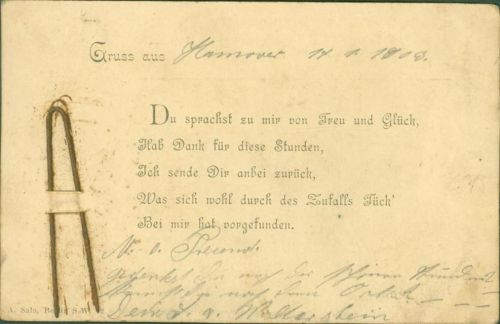 W3000 Hannover Haarnadel aus echtem Metall rostig Applikation 1903