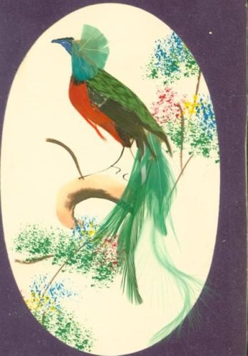 Vogel mit echten Federn