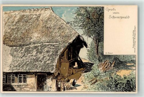Verlag Seeger Schwarzwaldhaus auf AK Daur, H. 1897 Lithographie / Künstlerkarte