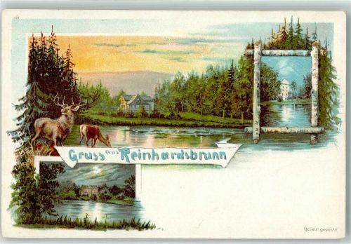 99894 O5804 Reinhardsbrunn Lithographie Gruss Hirsch Reh See Holzrahmen