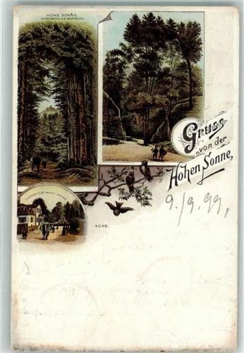 Wartburg 1899 Hohe Sonne Annathal Gasthaus zur Hohen Sonne