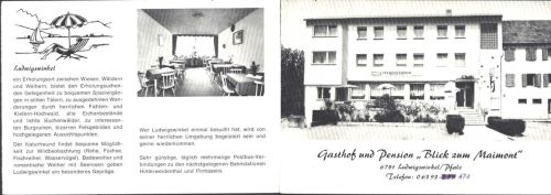 Ludwigswinkel Gasthof Blick zum Maimont