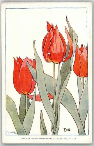 1900 Tulpen Office de Photographie Attinger, Neuchatel Nr. 119